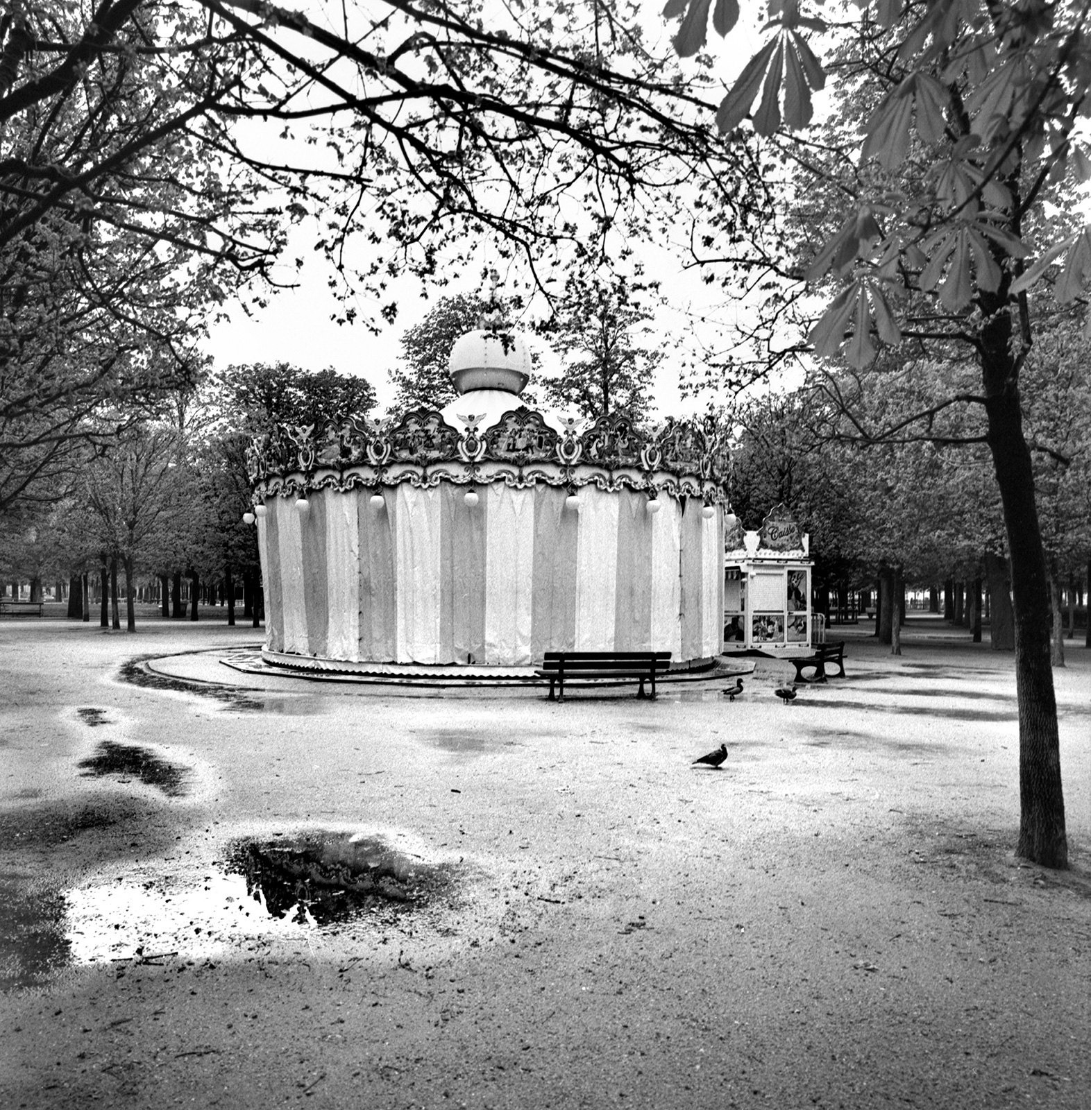 Jardins des tuileries, 2022